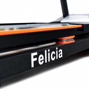 Беговая дорожка Proxima Felicia