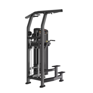 Гравитрон Protrain LFS110