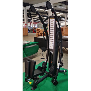 Мультистанция Gymmaster TF6005