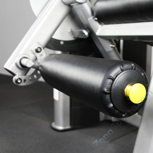 Разгибание ног Protrain 61A24-80