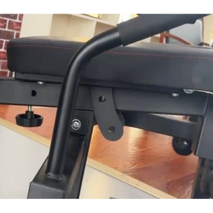 Сгибание/разгибание ног - спина - пресс Vertex FT-3036