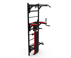 Шведская стенка с опциями DFC Lite VT-6005 (D-12345)